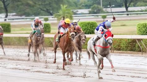 live racing from caymanas park today results|Caymanas Park .